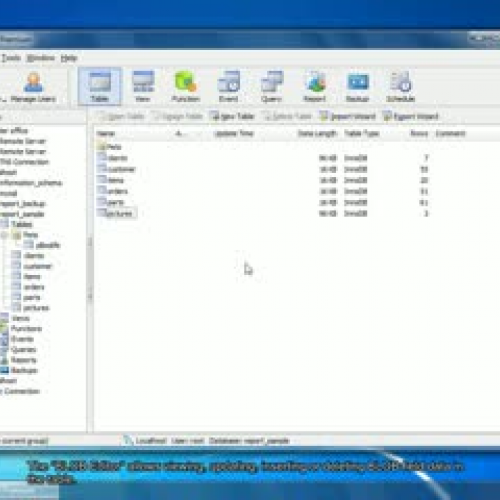 How to import or export binary data (Windows)