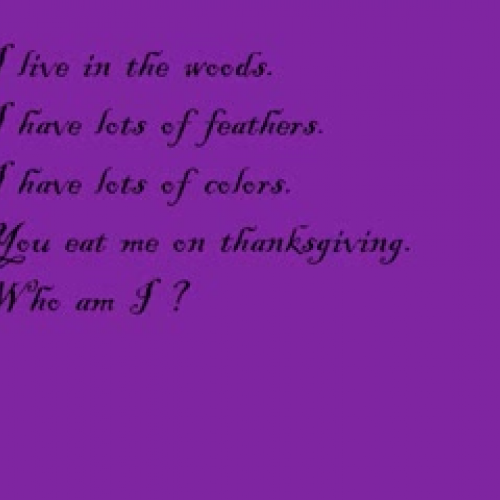 My Riddle (by Koala Bear)