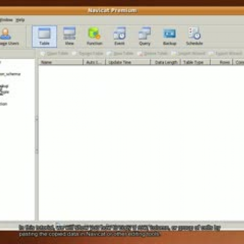How to copy and paste data in Navicat? (Linux