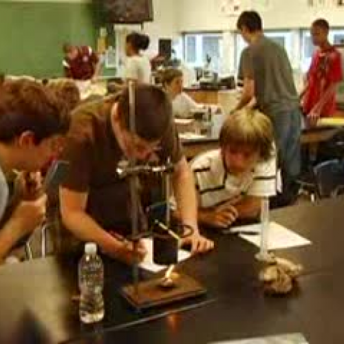 Welcome to the Milford School District