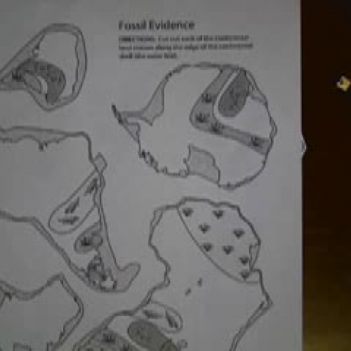 Pangea &amp; Fossil Lab