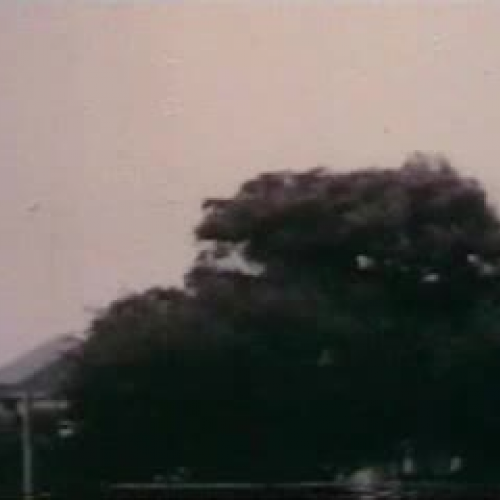 EDIT 202 Sample Video