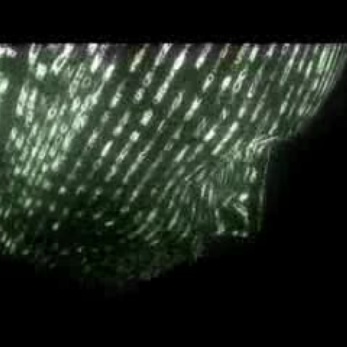 Understanding Digital Kids