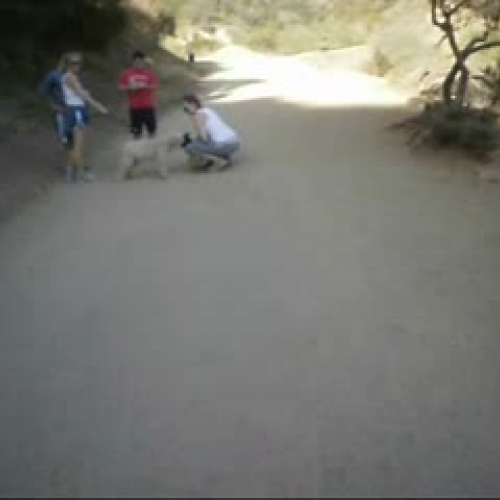 Runyon Canyon/La Brea Tar Pits