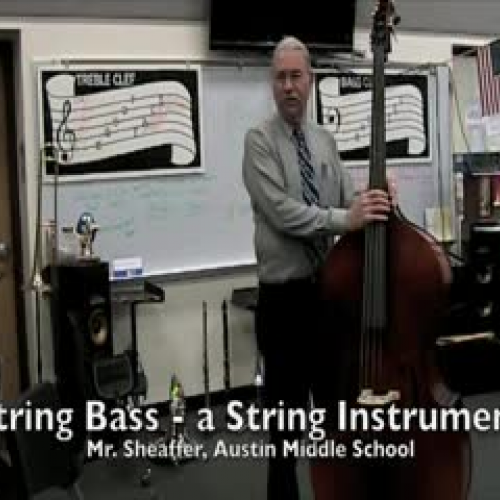 Cello and String Bass