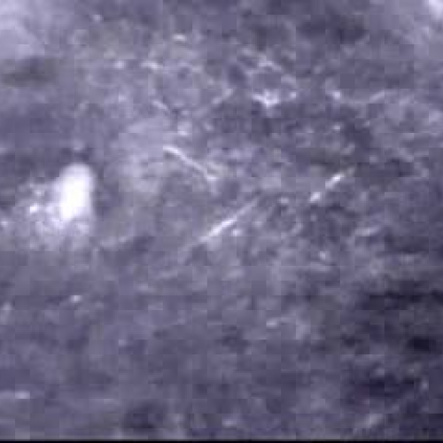 Edit 202 sample file