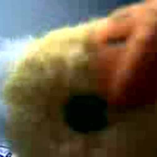 How to cast your vote