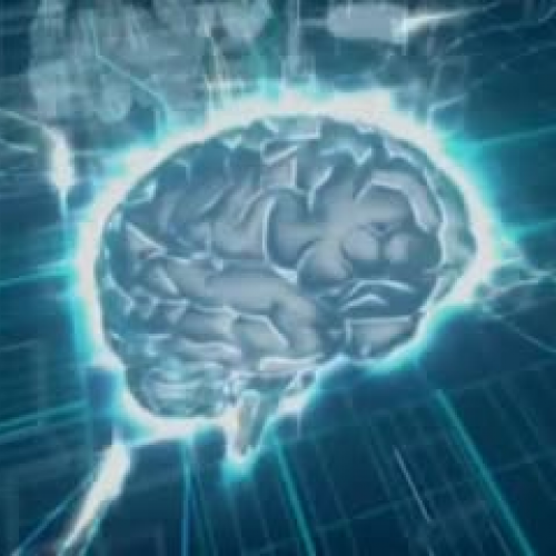 BrainWare Safari introduces Dr. Patrica Wolfe