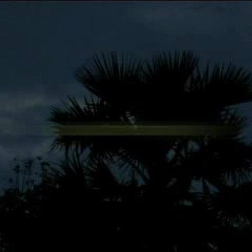 A Day in the Life of Samon - Cambodia