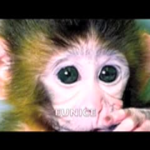 Learning Perspective Review