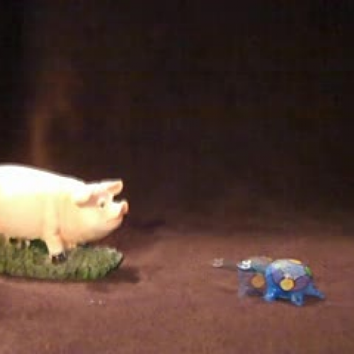 Turtle Meets Pig