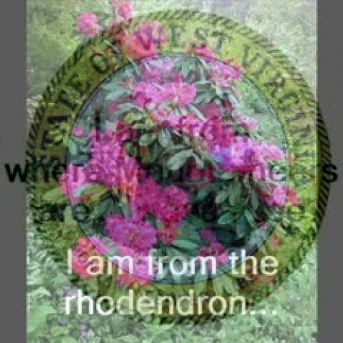 West Virginia: My Home Town