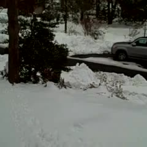 Alexandria Virginia blizzard
