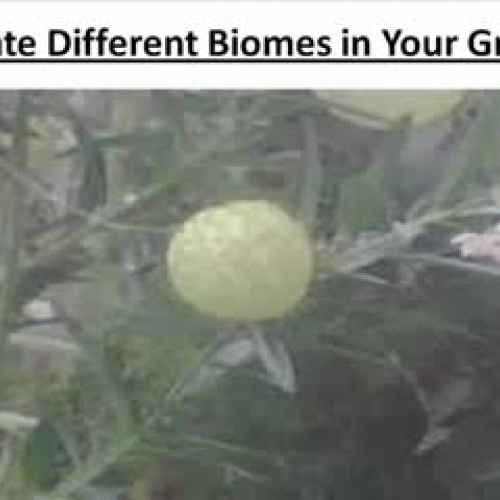 Biomes