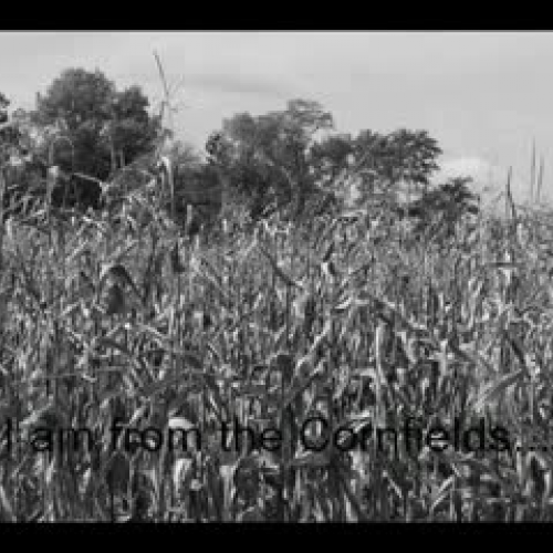 Tyke's Digital Story Counternarrative