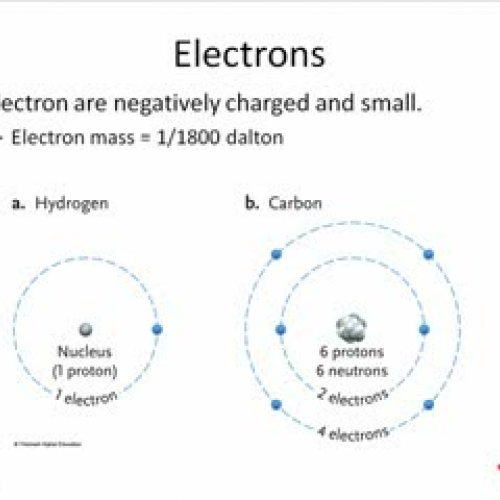 Chapter 11 Answer Key