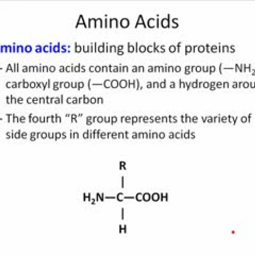 Chapter 11 Answer Key