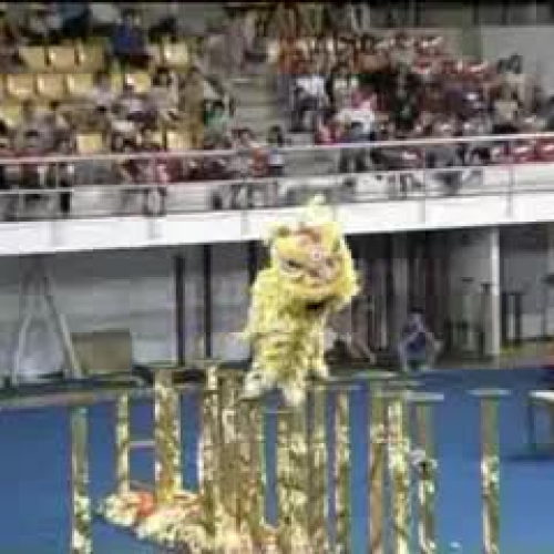 Lion Dance Competition