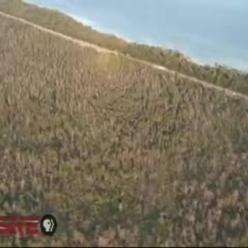 Gulf Islands National Seashore