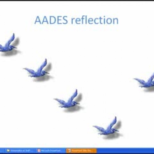 My AADES reflection
