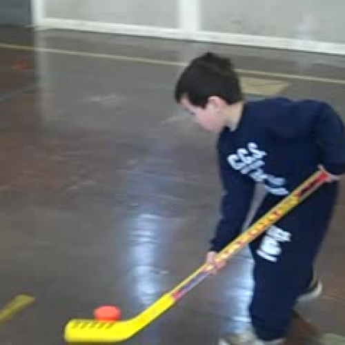 Stick Handling