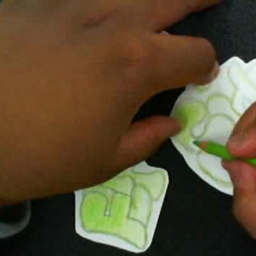 My Life in Charlotte