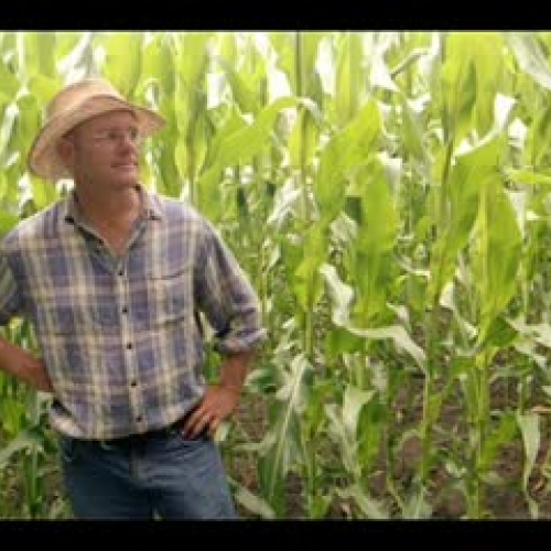 A.K. A Day on the Farm