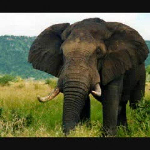 Accessability Software