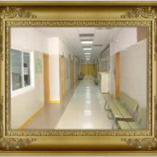 El Instituto Quercus desde dentro