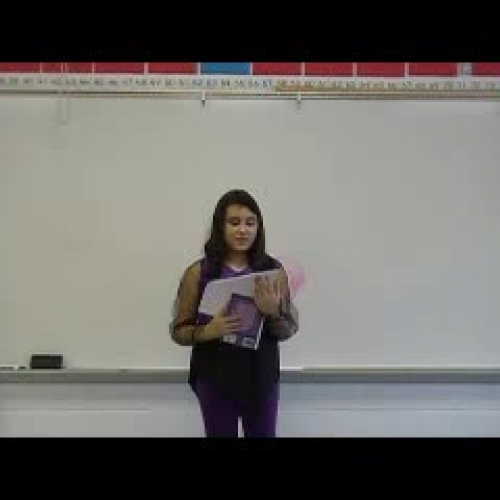 Vidia and the Fairy Crown