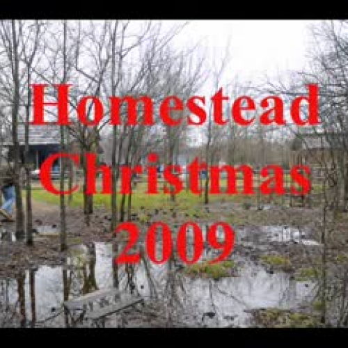 Homestead Celebration at LLLEL (Lewisville La