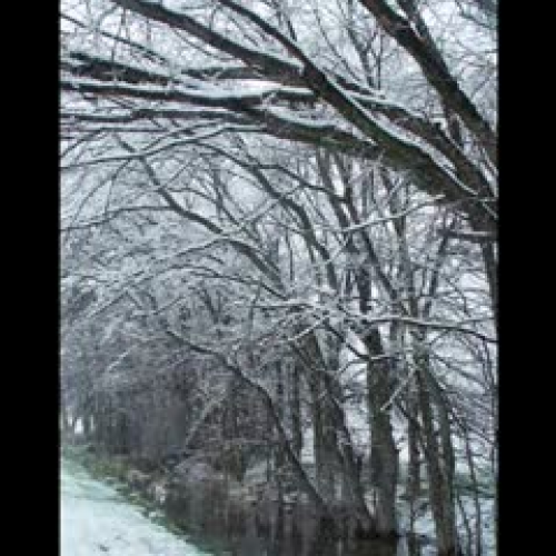 Snow in Texas at LLELA (Lewisville)