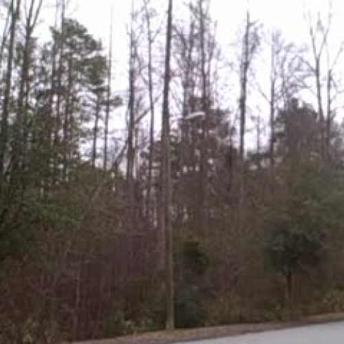 Wisdom Keepers - JoshS, Mohansingh, Thomas