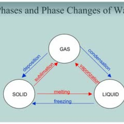 McEachern Phases and Phase Diagram