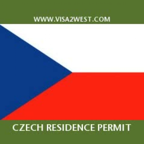 Immigration Service to Europe