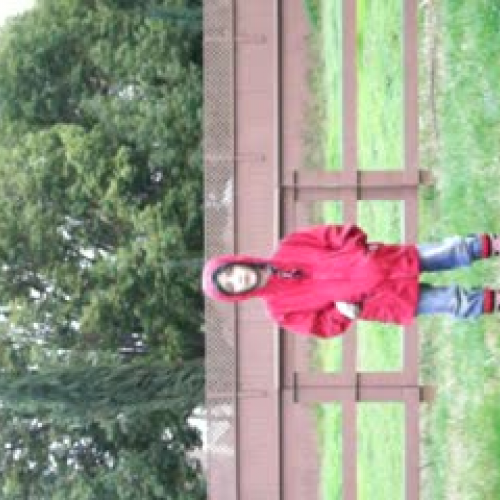 1st Grade Meteorology