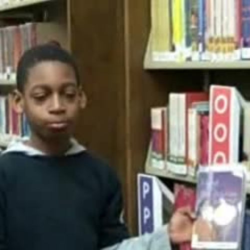 Island of the Blue Dolphins