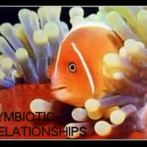 Symbiosis