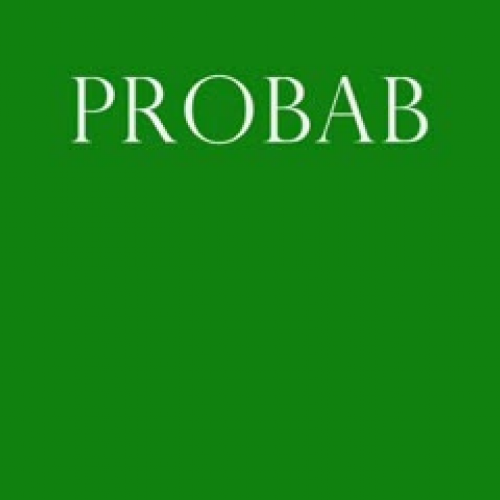 The Criminal Justice System