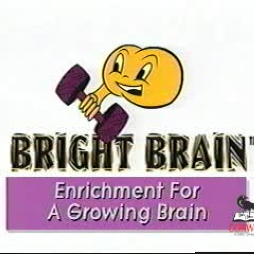 Bright Brain Theory