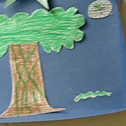 The Great Kapok Tree