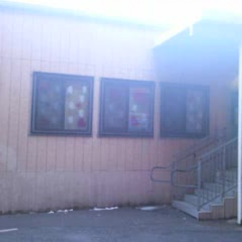 Tammy Chavez Application