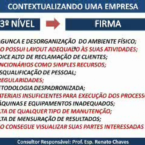 Classificando e Contextualizando uma Empresa 