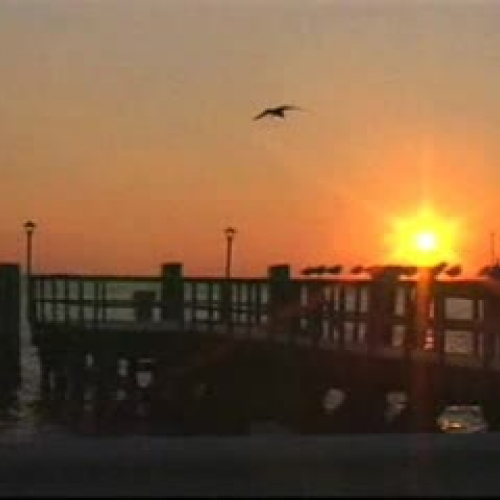 Edit 202 Sample Video