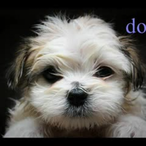 Addison Mastercard Commercial