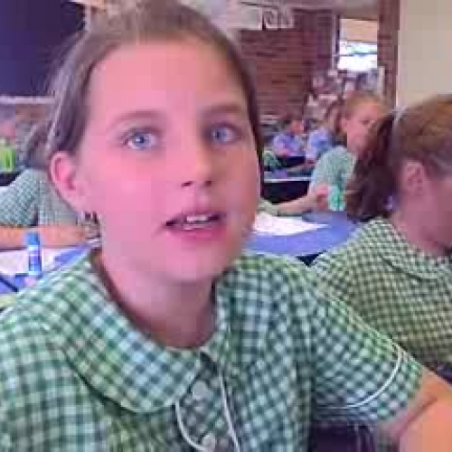 Rainforest Inforamtion 5P - 2010