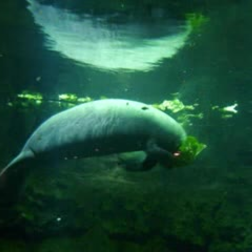 Water Temperature By Sabrina Robinson