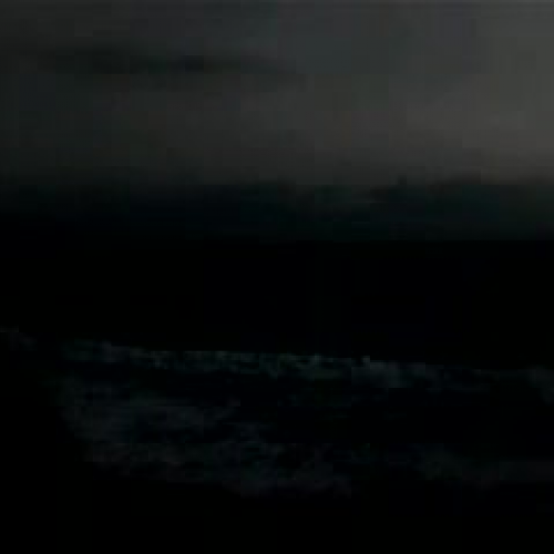 The Forest of Hands and Teeth