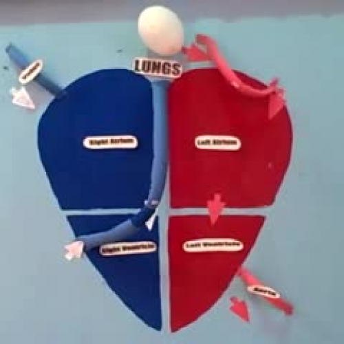 3rd Grade Jump Rope for Heart Birchwood 2010