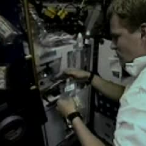 EDIT 202 Sample Videa